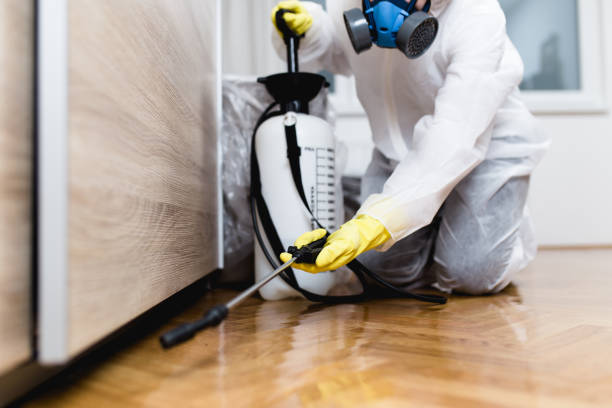Best Cockroach Control Services  in Islandia, NY