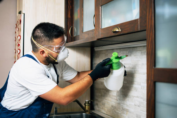 Trusted Islandia, NY Pest Control Experts