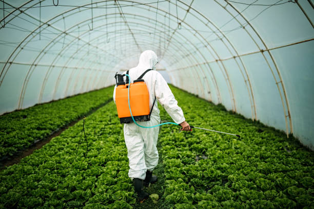 Pest Control for Restaurants in Islandia, NY