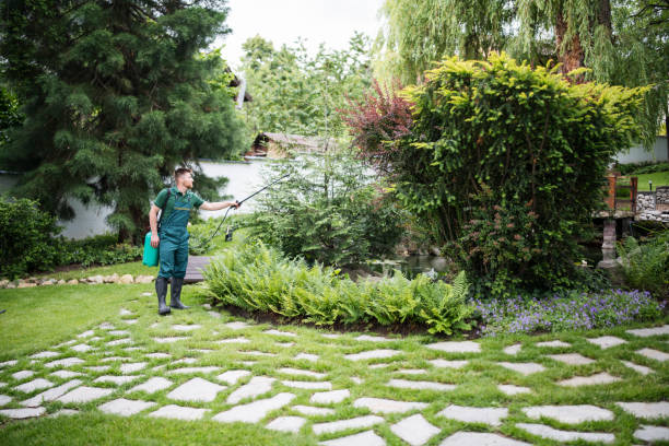 Pest Prevention Services in Islandia, NY