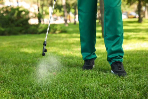 Best Local Pest Control Services  in Islandia, NY