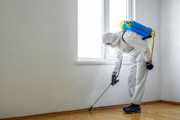 Best Pest Control Near Me  in Islandia, NY