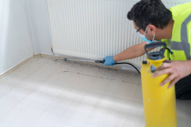 Best Emergency Pest Control  in Islandia, NY